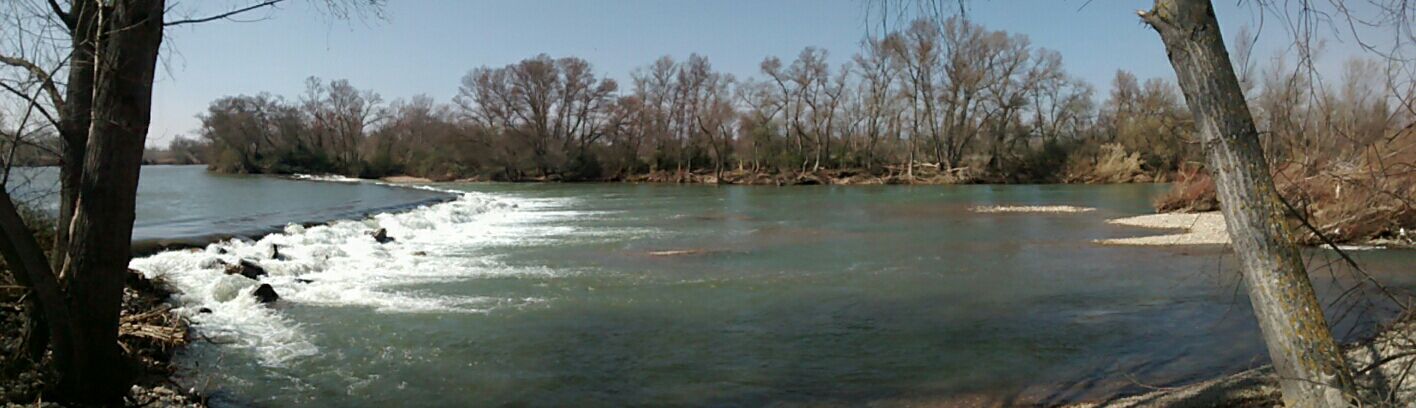 RIBERA DEL EBRO