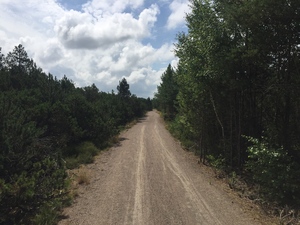 Hebe Bild 1 entlang der Bikemap-Route "32_Halmstadt-Kopenhagen_2016-07-26" hervor
