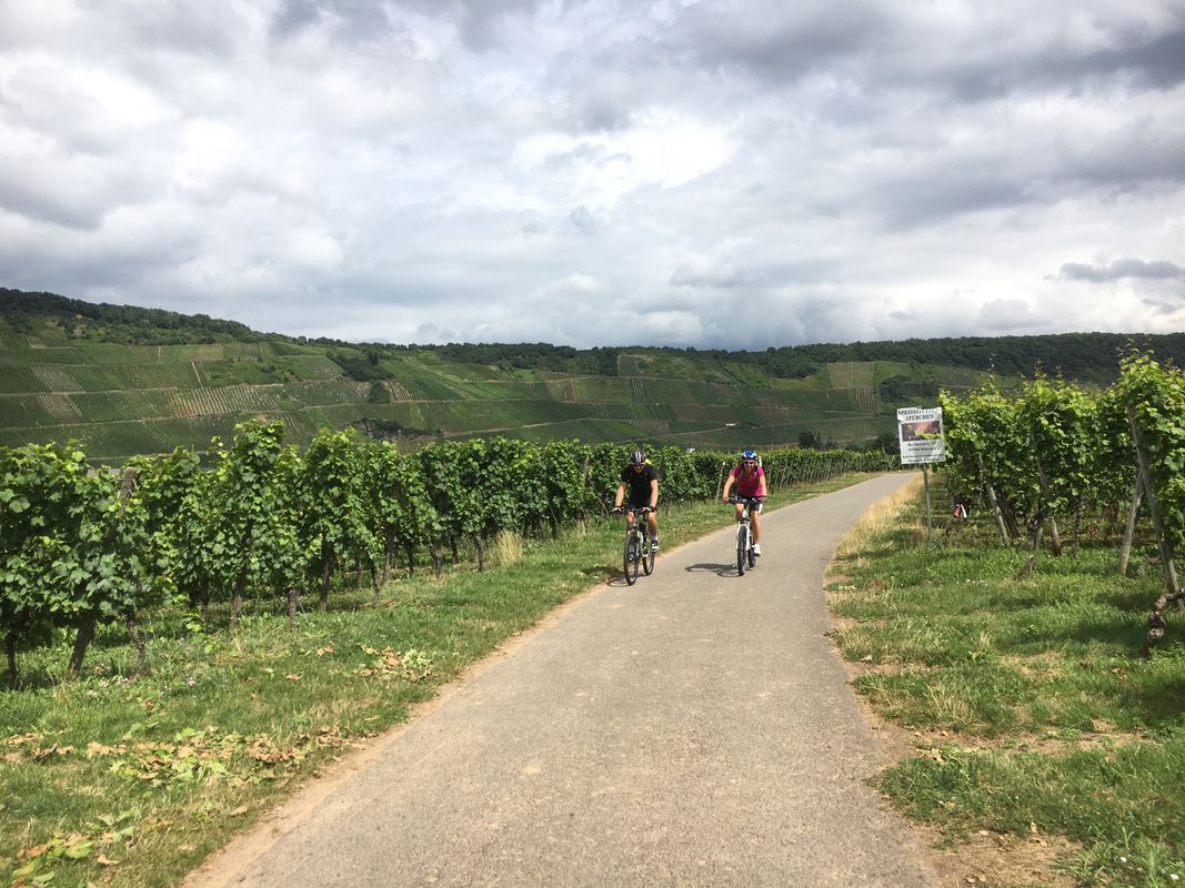 Lengthy bike tour from Kues to Trier