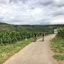 Lengthy bike tour from Kues to Trier