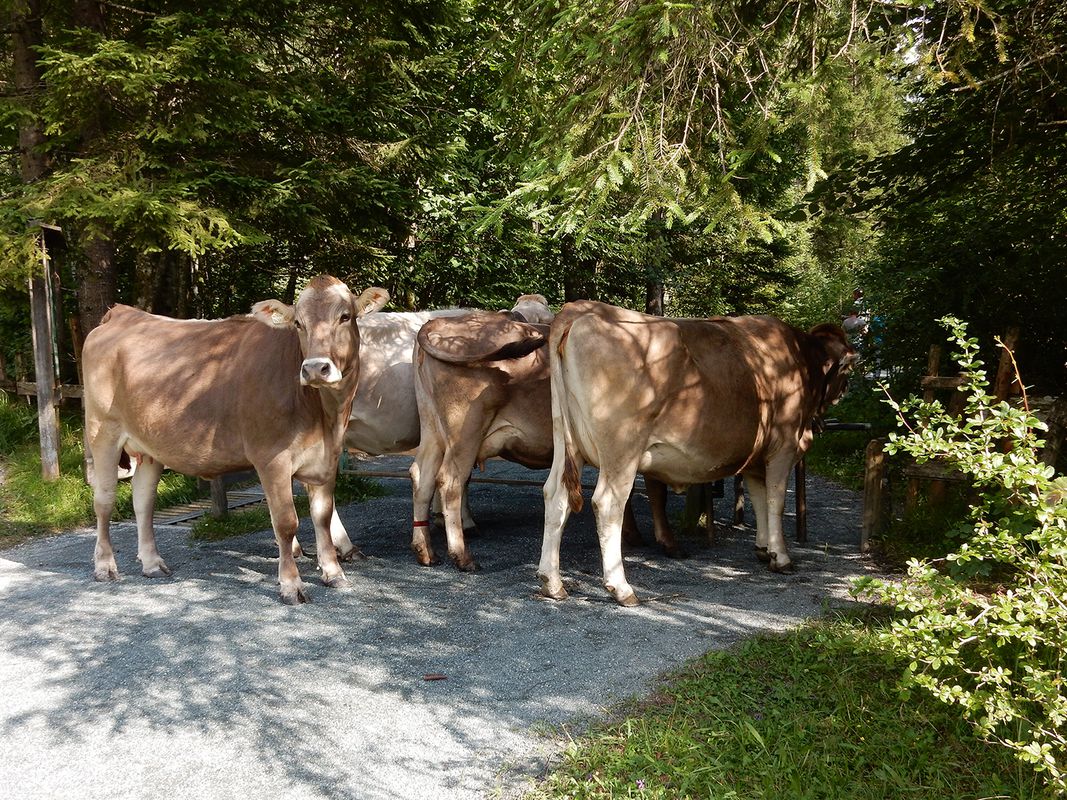 HRS Deal Scouts Bettina &amp; Peter