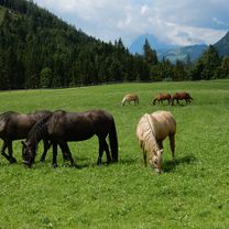 HRS Deal Scouts Bettina und Peter