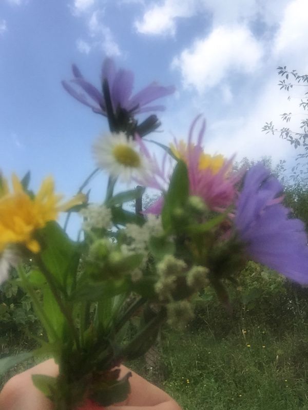 Romanești Botorca Blajel Mediaș