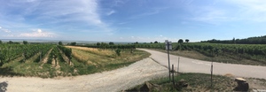 Highlight 2 along the Bikemap route "Lange Ausfahrt durch Ödenburg"