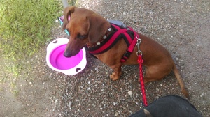 Atrakcja 1 na trasie Bikemap „Erste Urlaubsrunde” Atrakcja 1 na trasie Bikemap „Erste Urlaubsrunde”