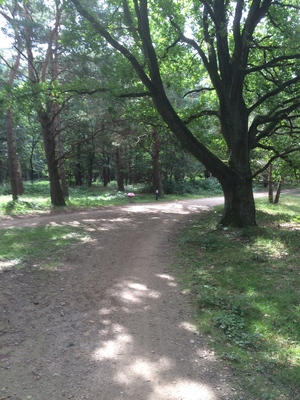 Highlight 6 along the Bikemap route "1ste Deel CF II"
