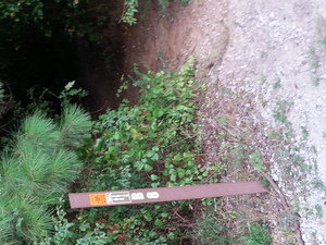 Destacado 2 en la ruta de Bikemap "ANDERSON SC MTB TRAIL"