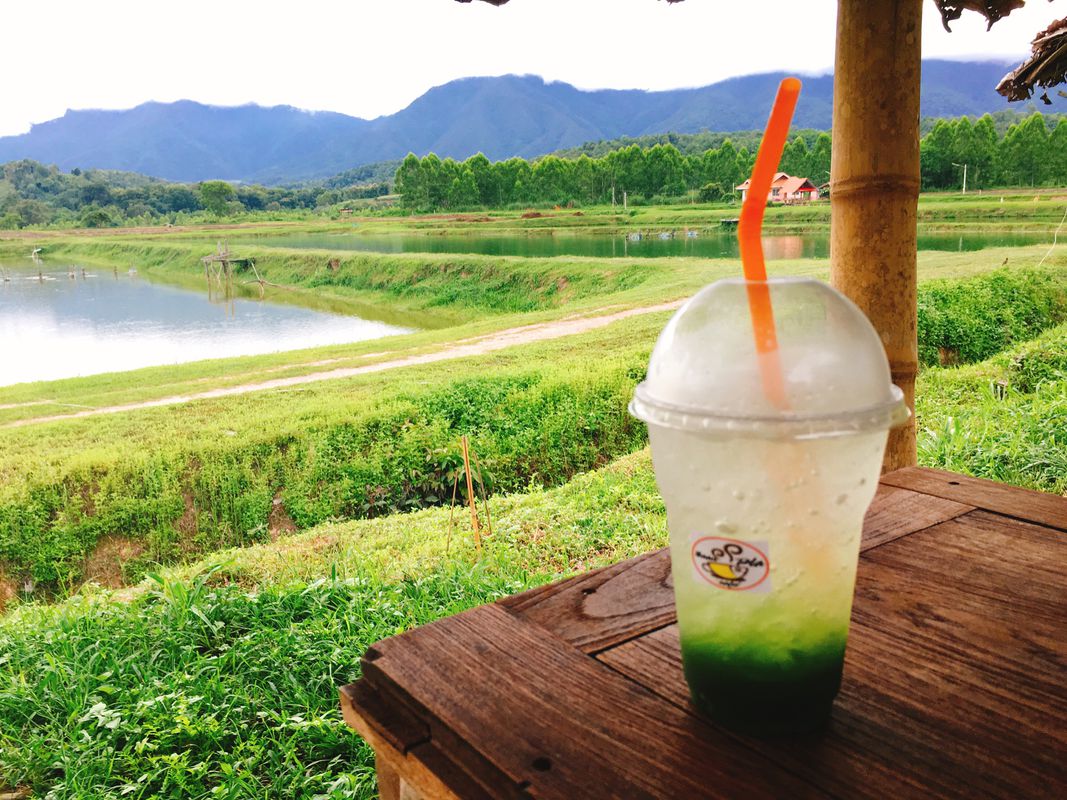 บ้านปลาคาเฟ่