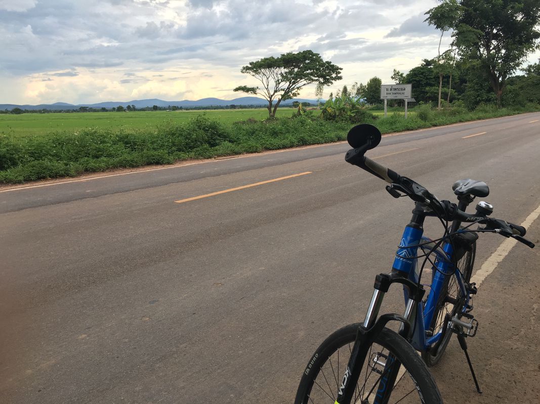 บ้านปลาคาเฟ่