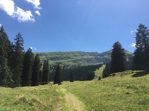 Highlight 2 along the Bikemap route "Schwendisee 3 Brixizimmer"