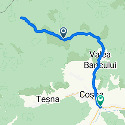 Podu Cosnei - Valea Bancului bike trip