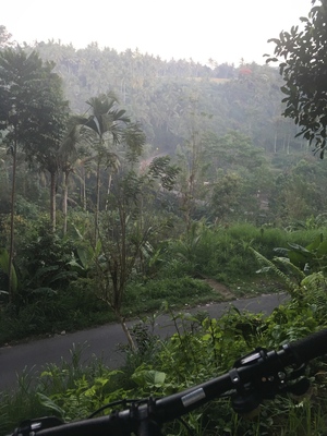 Highlight 1 along the Bikemap route "ride through Bangli"