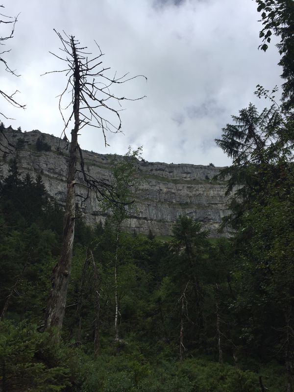 Swiss tour day 7