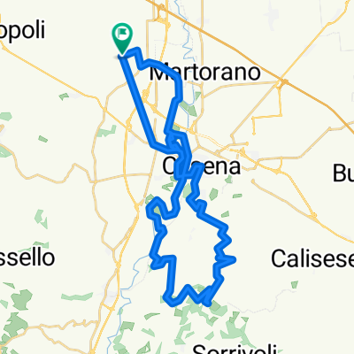 Raduno Ippodromo Cesena 2016