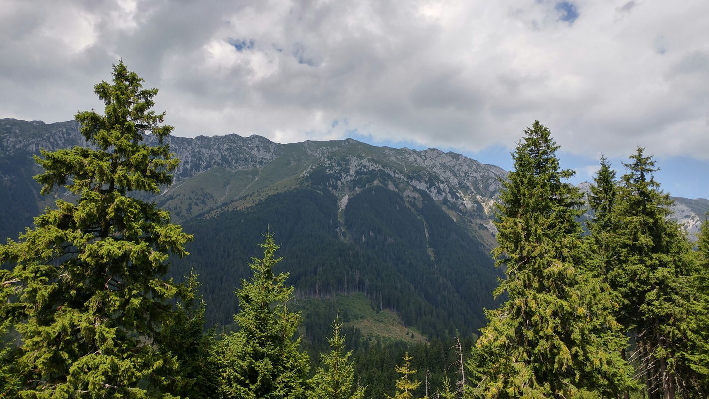 Botorog, Magura, Table, Prapastii