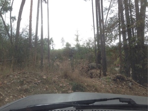 Hebe Bild 1 entlang der Bikemap-Route "Full Quad Trail Loop" hervor Hebe Bild 1 entlang der Bikemap-Route "Full Quad Trail Loop" hervor