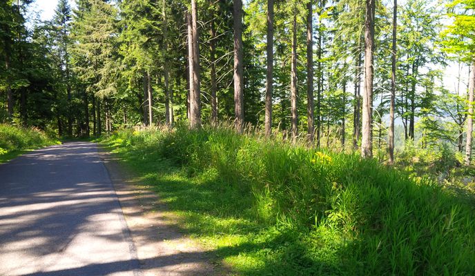 Zdjęcie 1 trasy Bikemap „Hrčava” Zdjęcie 1 trasy Bikemap „Hrčava”