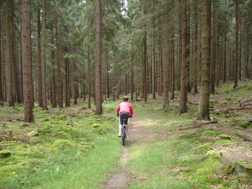 Singletrails im Ostsolling - Nichts für Anfänger