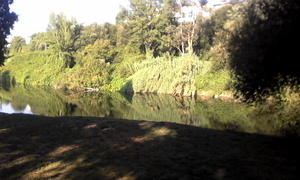 Hebe Bild 14 entlang der Bikemap-Route "Alfena - St. Tirso" hervor