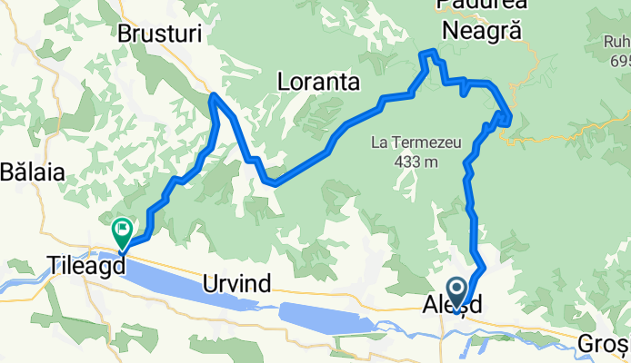 Alesd-Poiana Florilor-Uileacu de Cris