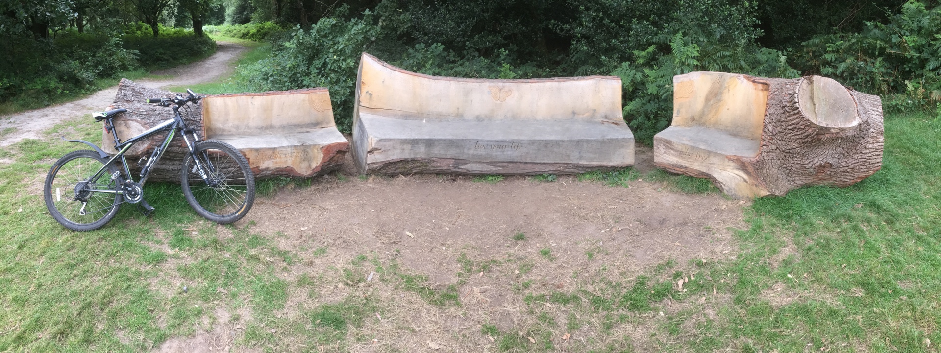 Meeting Point - Leith Hill - Home