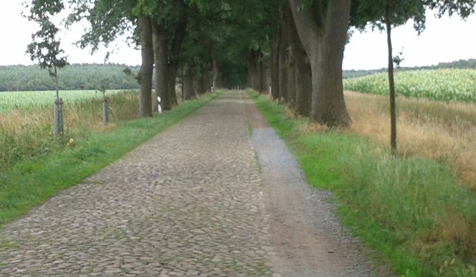 Foto 1 der Bikemap-Route "Walsrode -Verden-Walsrode"
