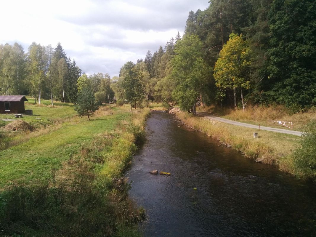 Šumava 2015, 4 dny, pěšky