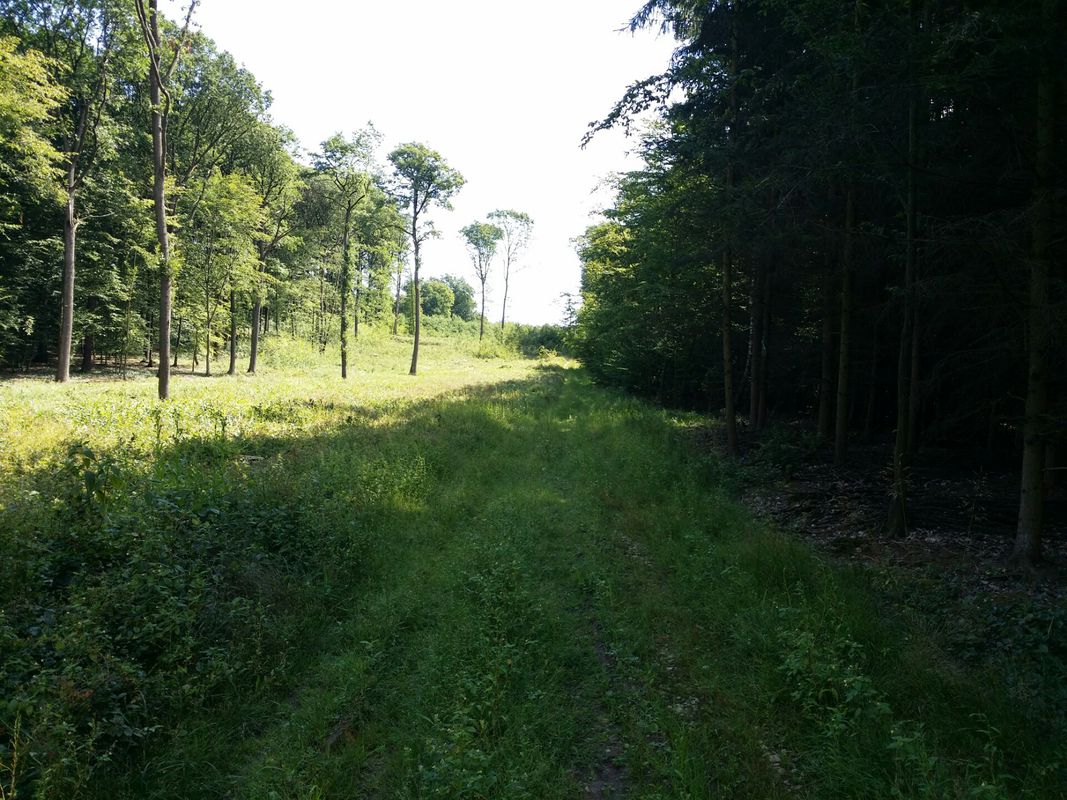 bike tour through Skřivany