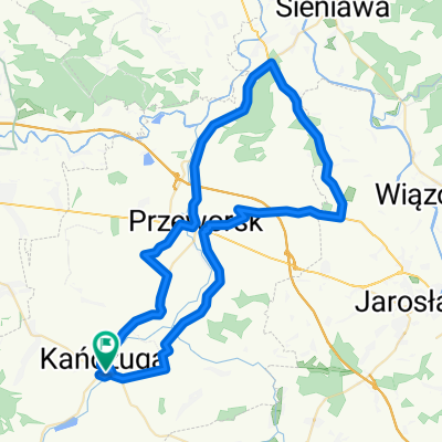 65 (64/16) Przeworsk-Tryńcza-Pełkinie-Krzeczowice