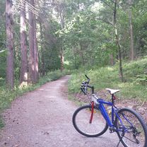 Short ride from August 16, 17:47