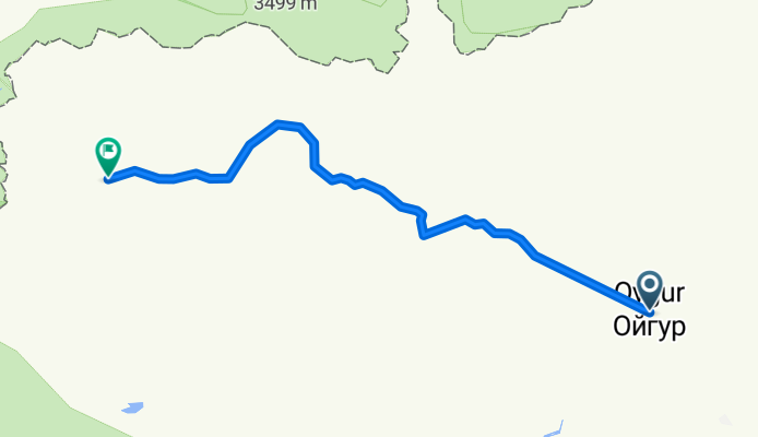 D 06