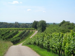 Hebe Bild 64 entlang der Bikemap-Route "2016 Summer Bike Tour" hervor