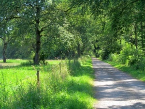 Hebe Bild 65 entlang der Bikemap-Route "2016 Summer Bike Tour" hervor