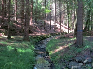 Hebe Bild 25 entlang der Bikemap-Route "2016 Summer Bike Tour" hervor