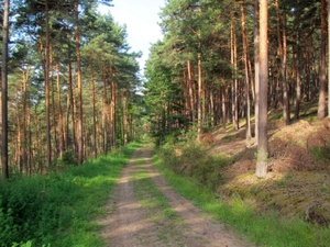 Hebe Bild 1 entlang der Bikemap-Route "2016 Summer Bike Tour" hervor