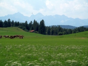 Hebe Bild 56 entlang der Bikemap-Route "2016 Summer Bike Tour" hervor