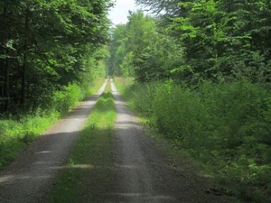Hebe Bild 61 entlang der Bikemap-Route "2016 Summer Bike Tour" hervor
