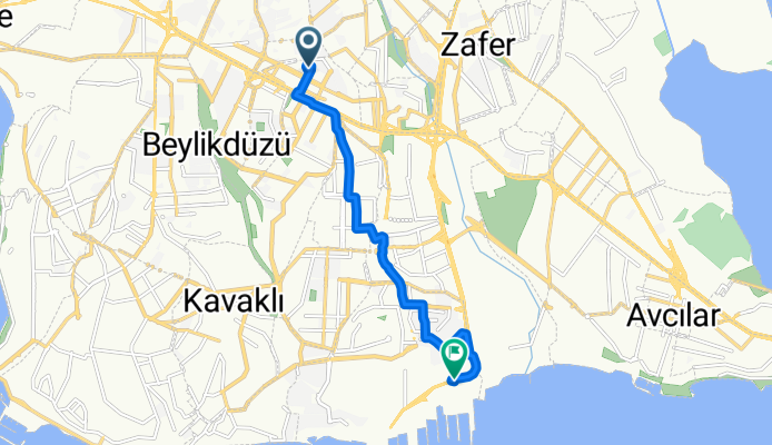 evis