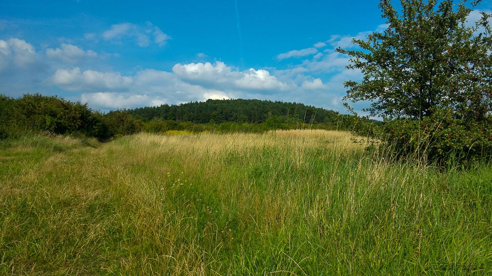 Dziećkowice przez Grodzisko, Tarkę. 24 sierpnia, 15:34