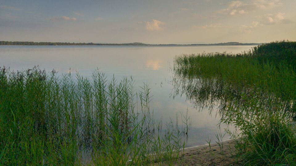 Dziećkowice przez Grodzisko, Tarkę. 24 sierpnia, 15:34