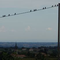 Photo 1 of this route