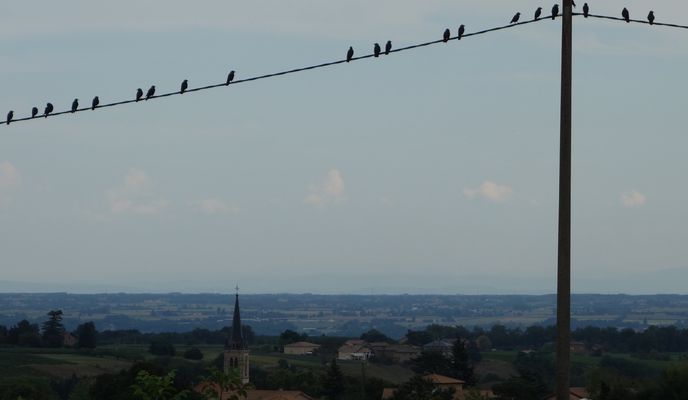 Photo 1 of the Bikemap route "2016 Ride Day 142 - Roanne to Villefranche-sur-Saone"
