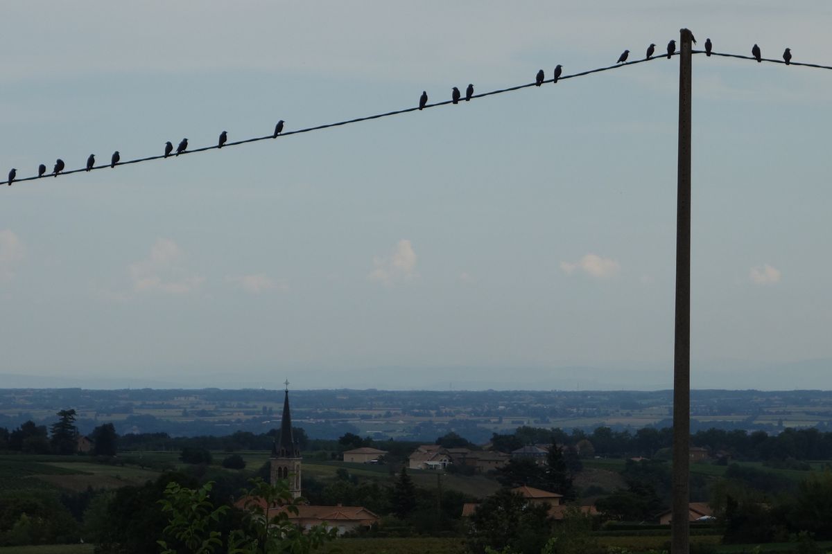 2016 Ride Day 142 - Roanne to Villefranche-sur-Saone