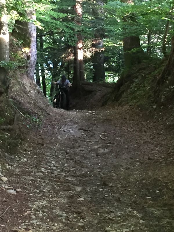 Ausfahrt von Zollbrück nach Oberburg