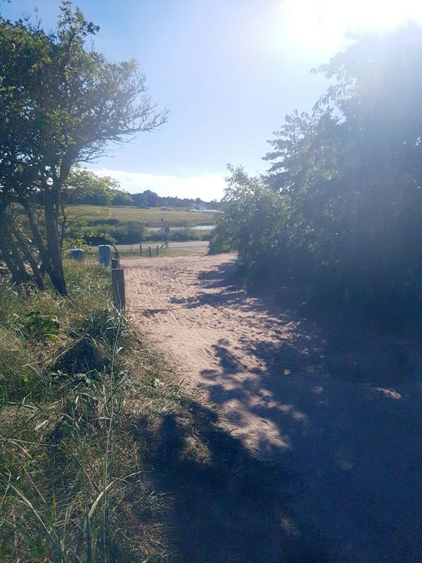 Lange Radrunde von Zingst nach Ahrenshoop