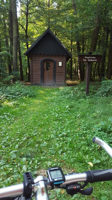Niepołomice Drogą Królewską