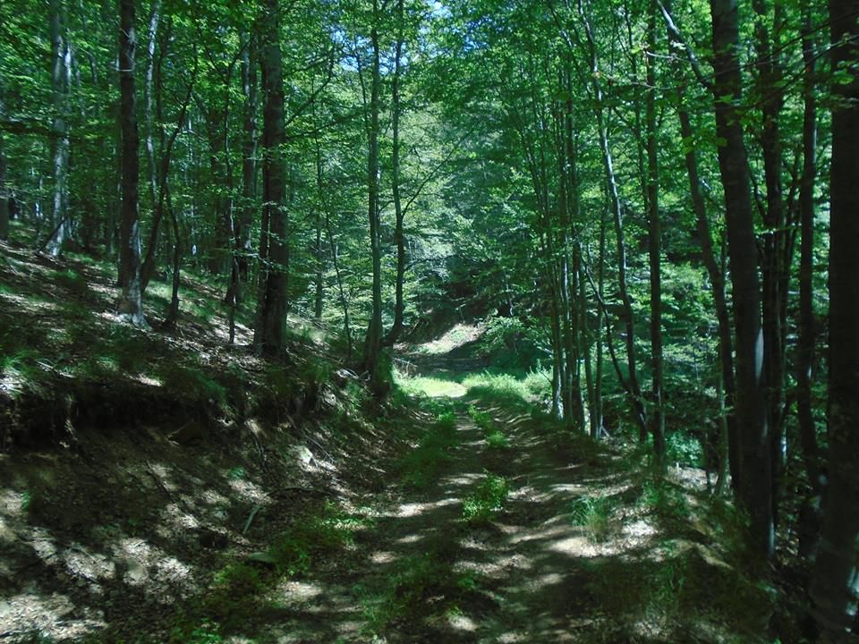 Pehcevo-Ravna reka Velosipedska pateka