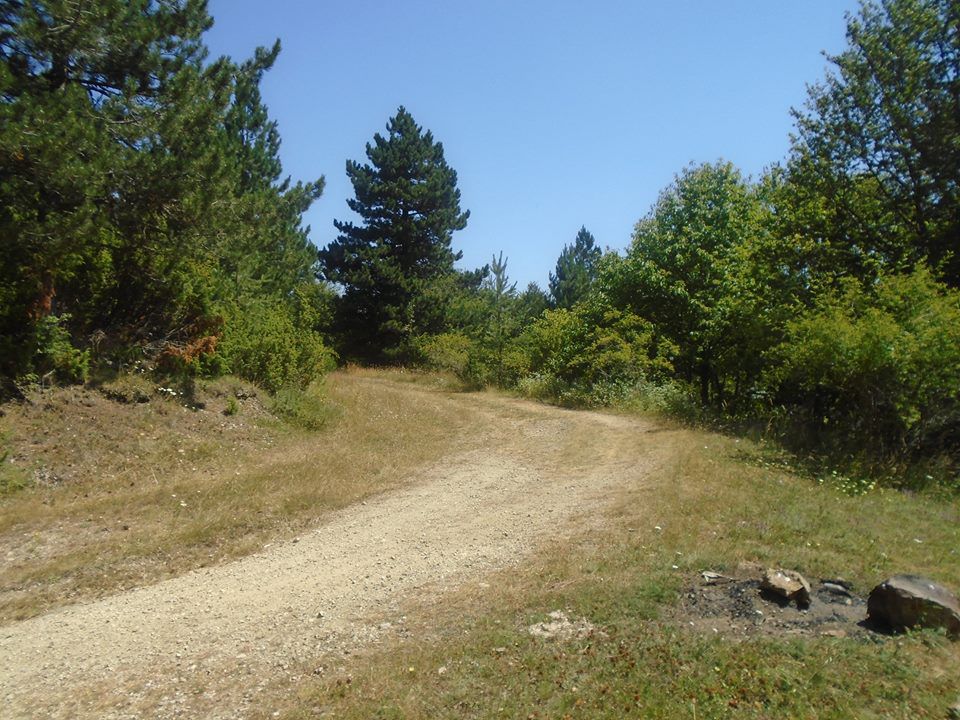 Pehcevo-Ravna reka Velosipedska pateka