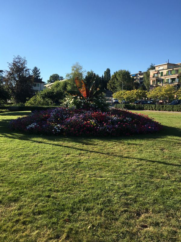 Vélo Jour 1 À Bellevue