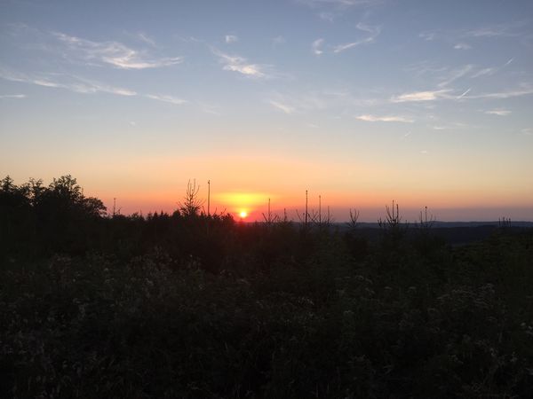Photo 1: ewunielk